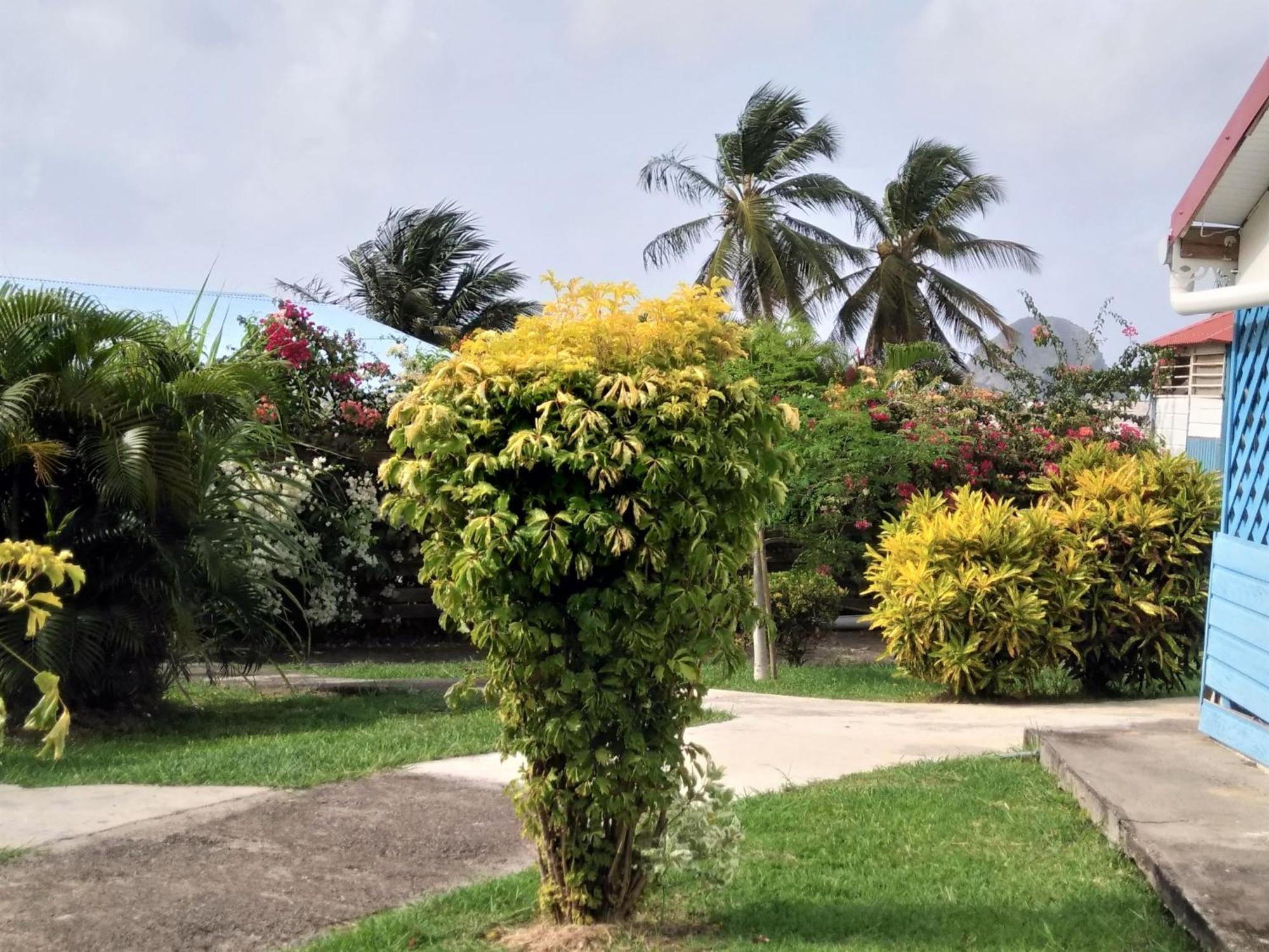 Appartement Rosbambou Les Pieds Dans L Eau Le Diamant Exterior photo